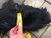 Превью фото № 226762