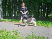 Превью фото № 226788