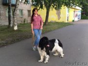 Превью фото № 226789