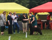 Превью фото № 226832