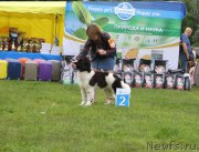 Превью фото № 226857