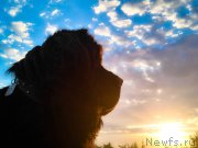 Превью фото № 226890