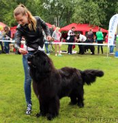 Превью фото № 226912