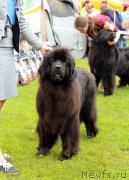 Превью фото № 226927