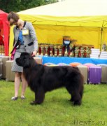 Превью фото № 226928