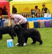 Превью фото № 226929