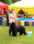 Превью фото № 226933