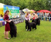 Превью фото № 226937