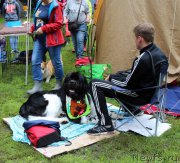 Превью фото № 226941