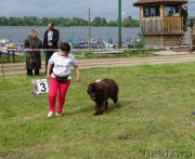 Превью фото № 226987