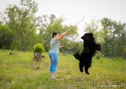 Превью фото № 226989