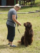 Превью фото № 227031