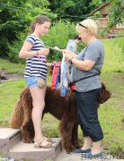 Превью фото № 227128