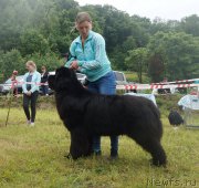 Превью фото № 227163