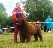 Превью фото № 227168