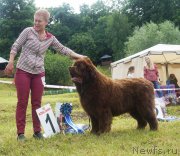 Превью фото № 227170