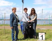 Превью фото № 227177