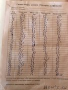 Превью фото № 227195