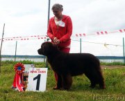 Превью фото № 227213