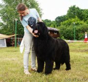 Превью фото № 227216