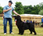 Превью фото № 227219