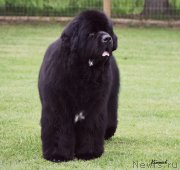 Превью фото № 227230