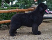 Превью фото № 227268