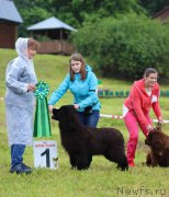Превью фото № 227276