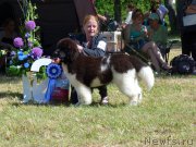 Превью фото № 227333