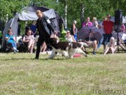 Превью фото № 227334