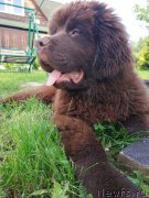 Превью фото № 227336