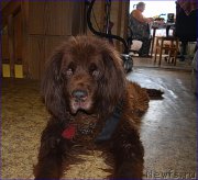 Превью фото № 227341