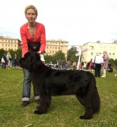 Превью фото № 227344