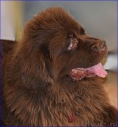 Превью фото № 227377