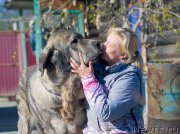 Превью фото № 227382