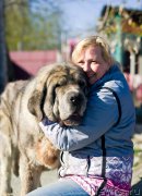 Превью фото № 227383