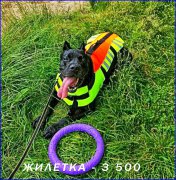 Превью фото № 227386