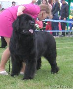 Превью фото № 227431