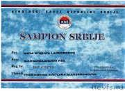 Превью фото № 227445