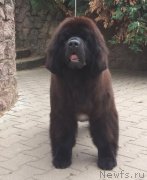 Превью фото № 227475