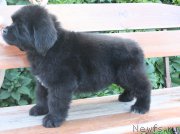 Превью фото № 227562