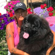 Превью фото № 227570