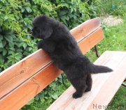 Превью фото № 227576