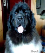 Превью фото № 227585