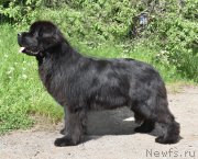 Превью фото № 227620