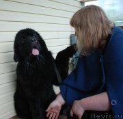 Превью фото № 227658