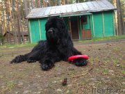 Превью фото № 227663