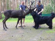 Превью фото № 227666