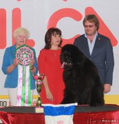 Превью фото № 227676