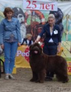 Превью фото № 227681